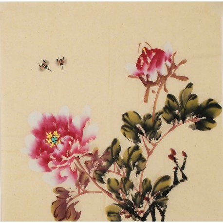 Peony - CNAG006328