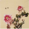 Peony - CNAG006328