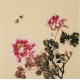 Peony - CNAG006329
