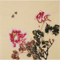 Peony - CNAG006329