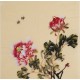 Peony - CNAG006330