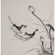 Shrimp - CNAG006332