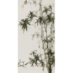 Ink Bamboo - CNAG000634