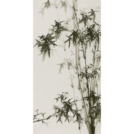 Ink Bamboo - CNAG000634