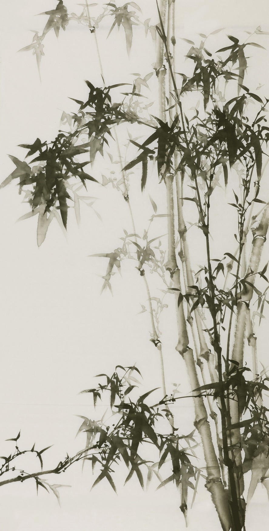 Ink Bamboo - CNAG000634