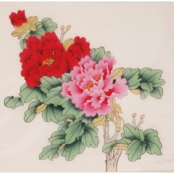 Peony - CNAG006339