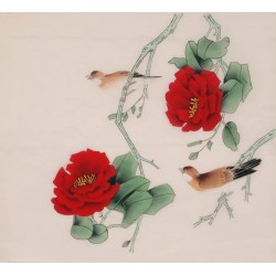 Other Birds - CNAG006341