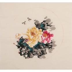 Peony - CNAG006342
