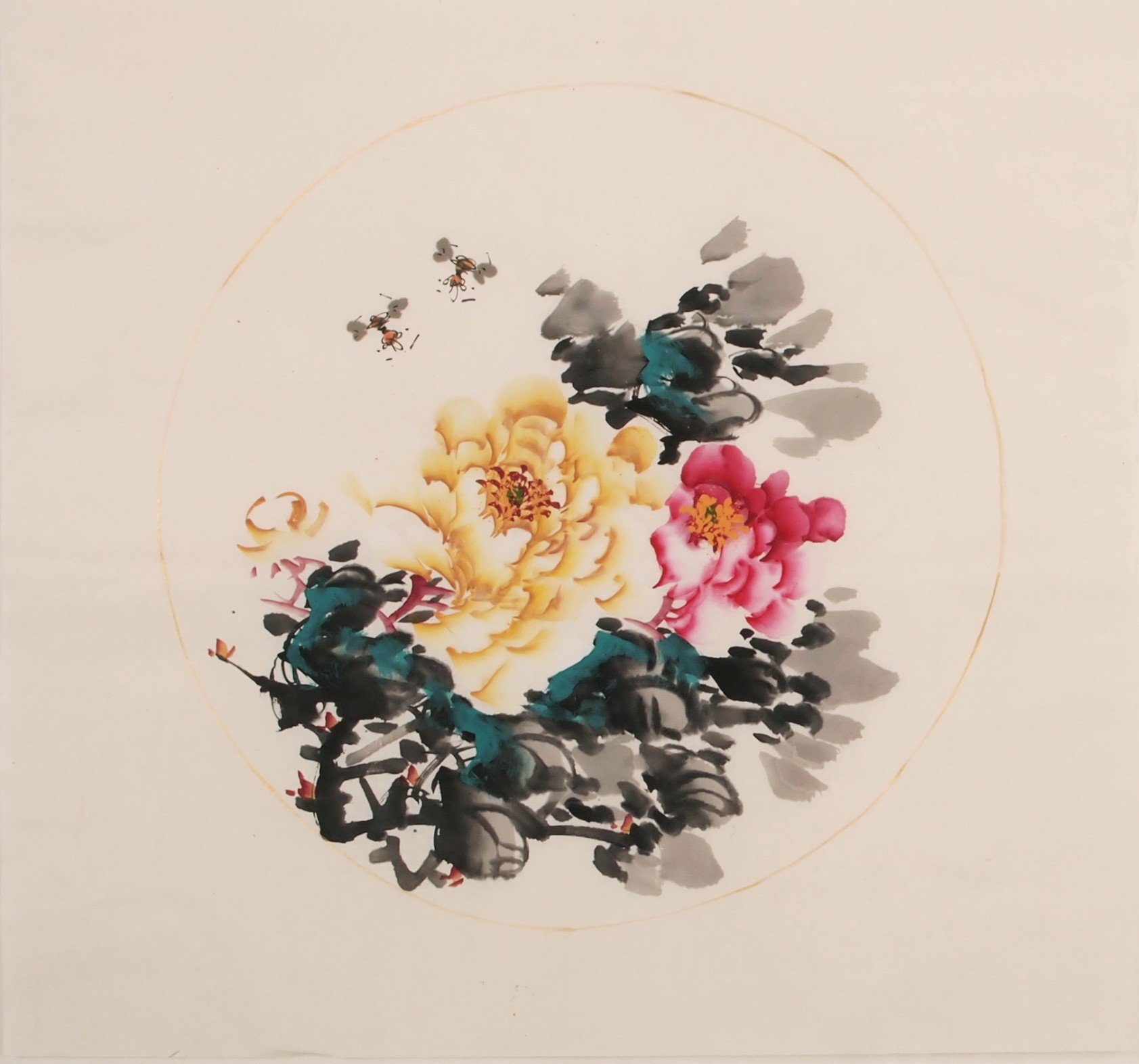Peony - CNAG006342