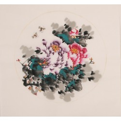 Peony - CNAG006343