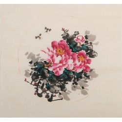 Peony - CNAG006344