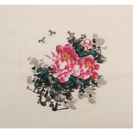Peony - CNAG006344