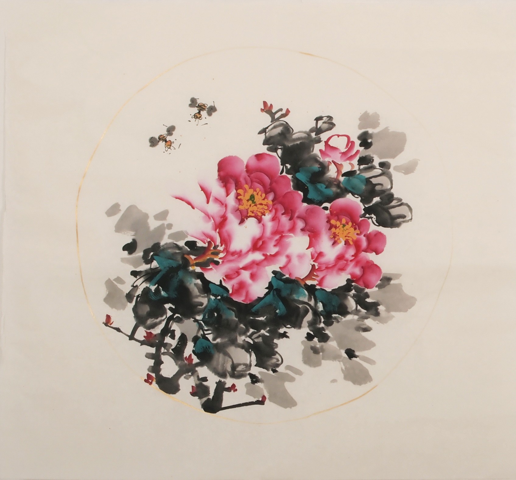 Peony - CNAG006344
