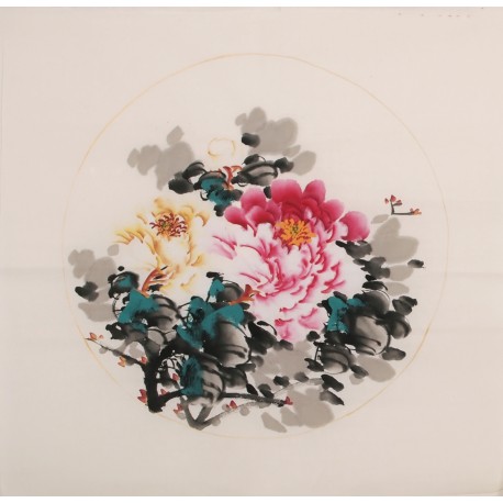 Peony - CNAG006345