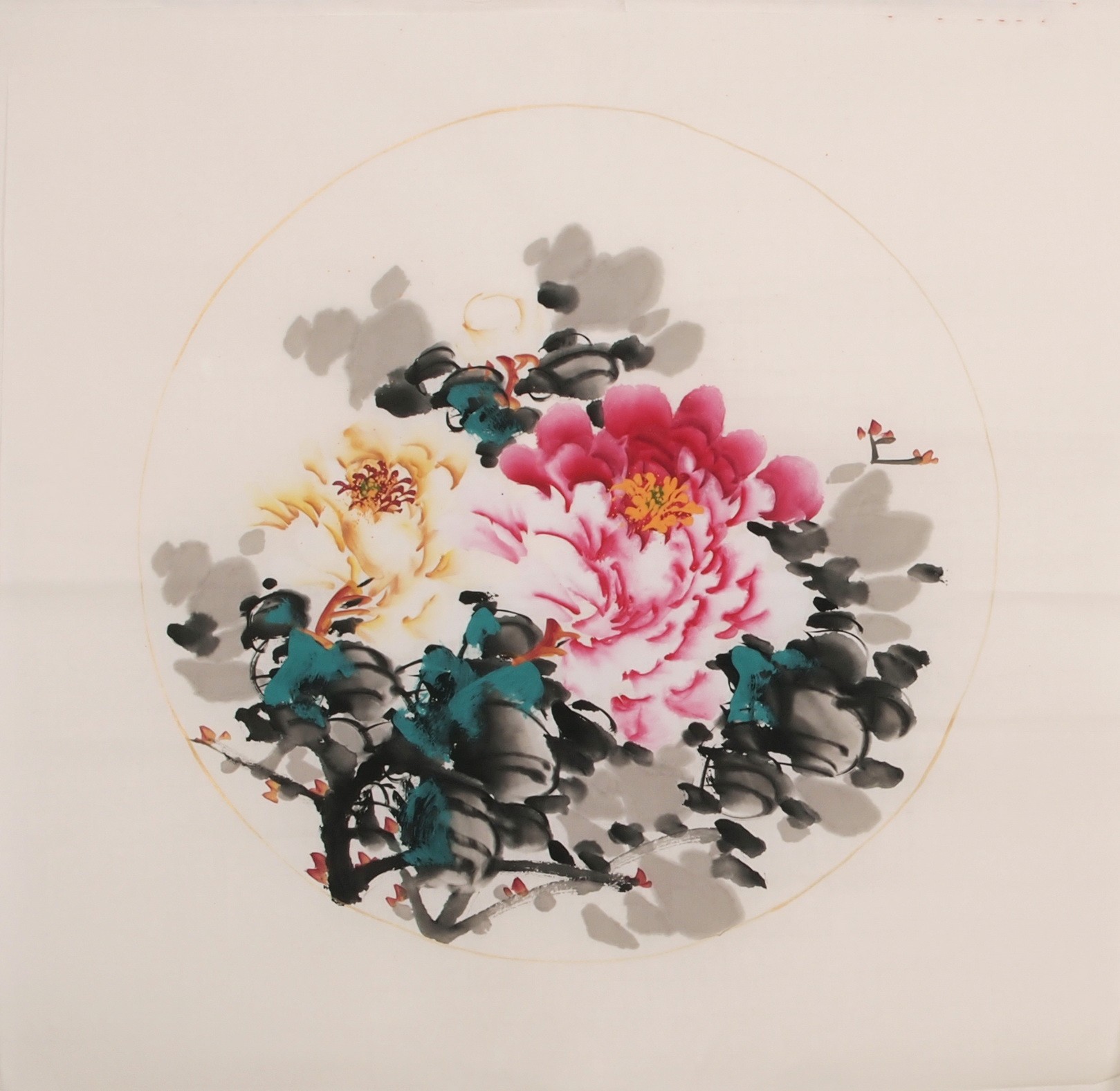 Peony - CNAG006345