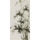 Ink Bamboo - CNAG000635
