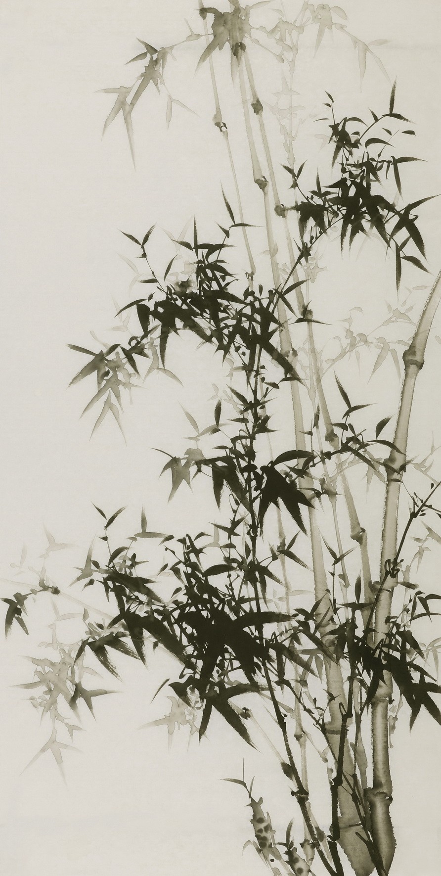 Ink Bamboo - CNAG000635