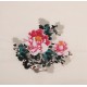Peony - CNAG006346