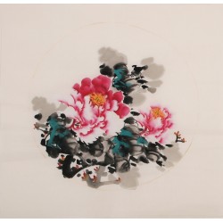 Peony - CNAG006346