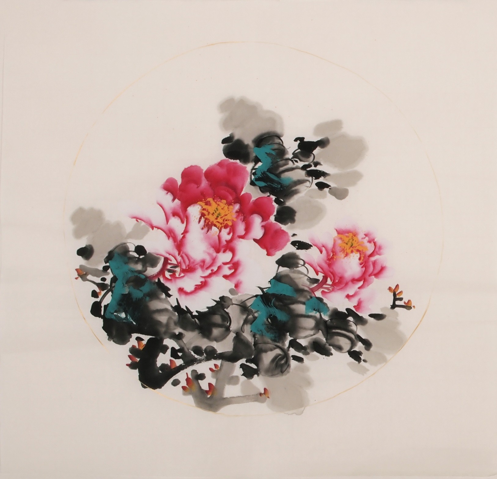 Peony - CNAG006346