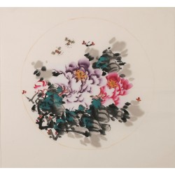 Peony - CNAG006347