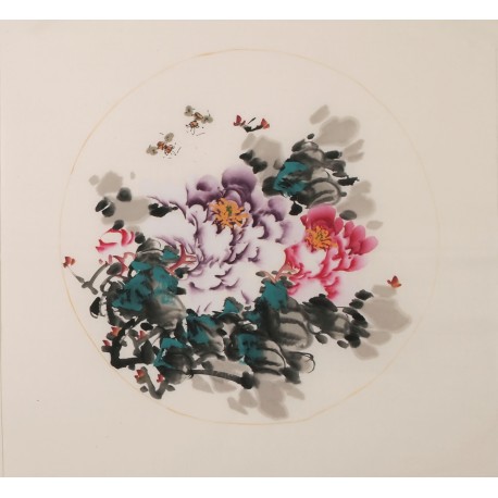 Peony - CNAG006347