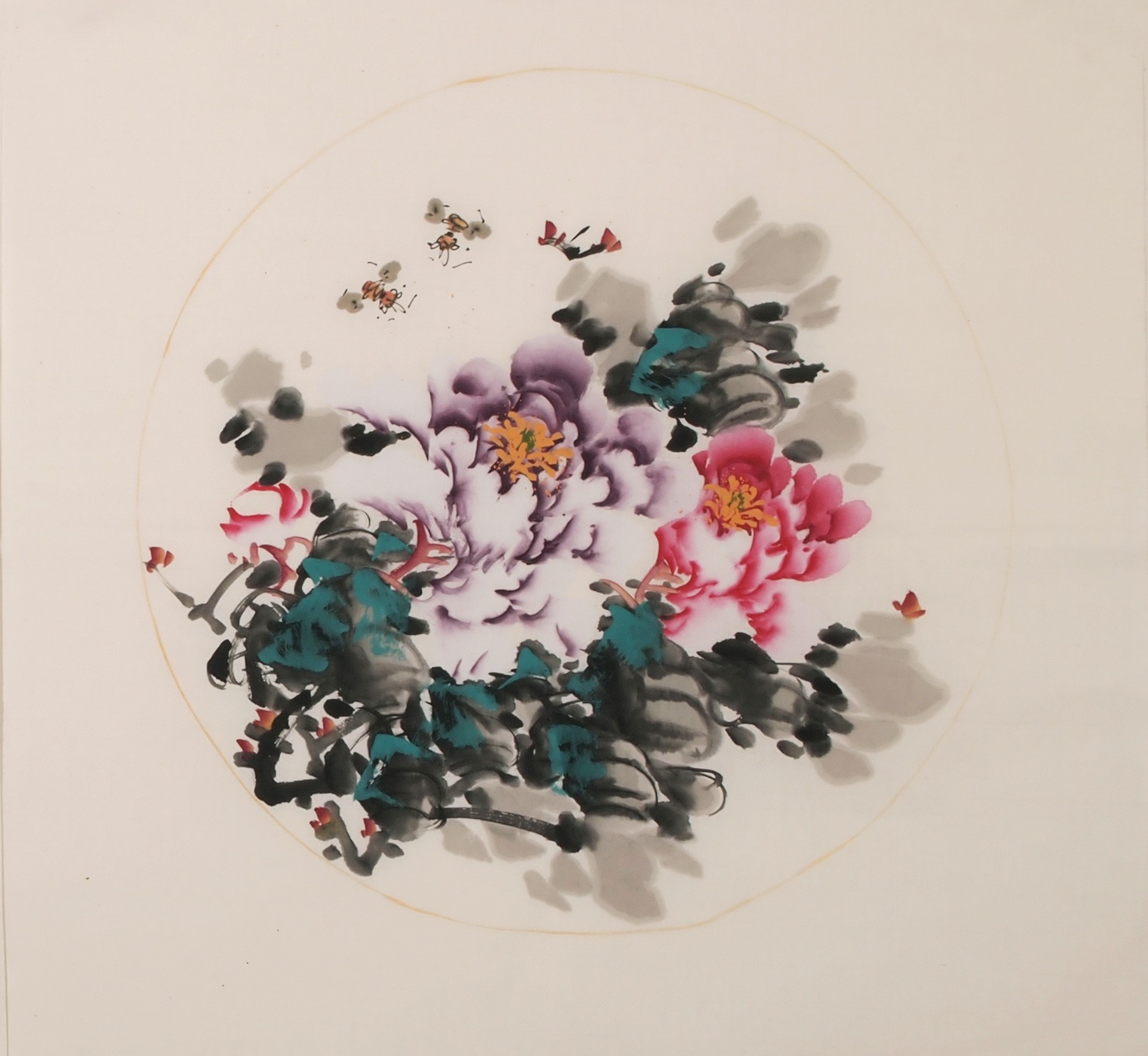Peony - CNAG006347