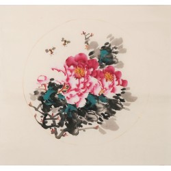 Peony - CNAG006348