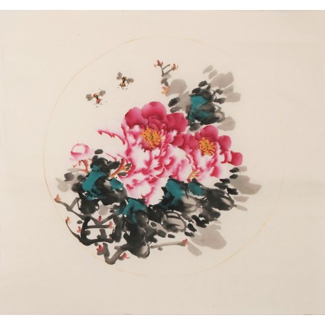 Peony - CNAG006348