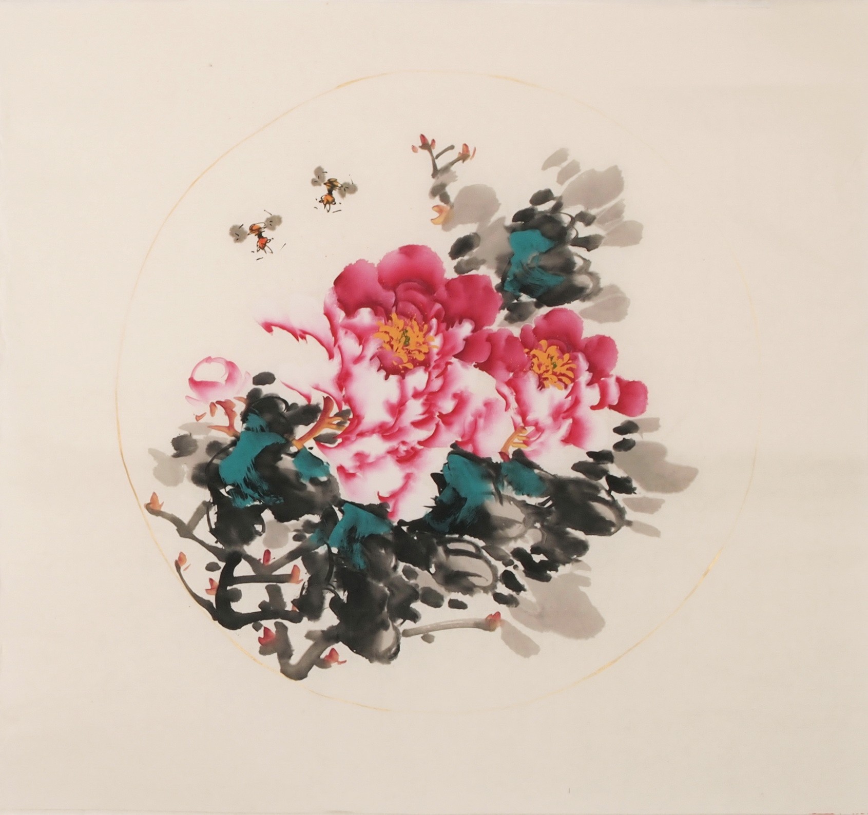 Peony - CNAG006348