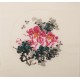 Peony - CNAG006350