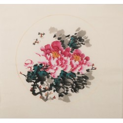 Peony - CNAG006350