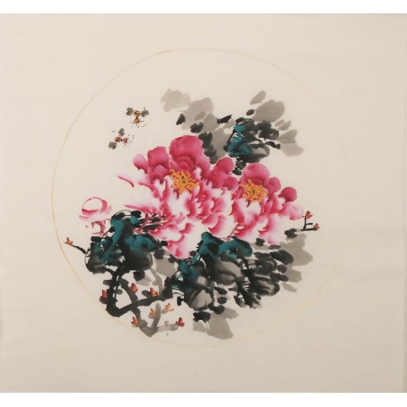 Peony - CNAG006350