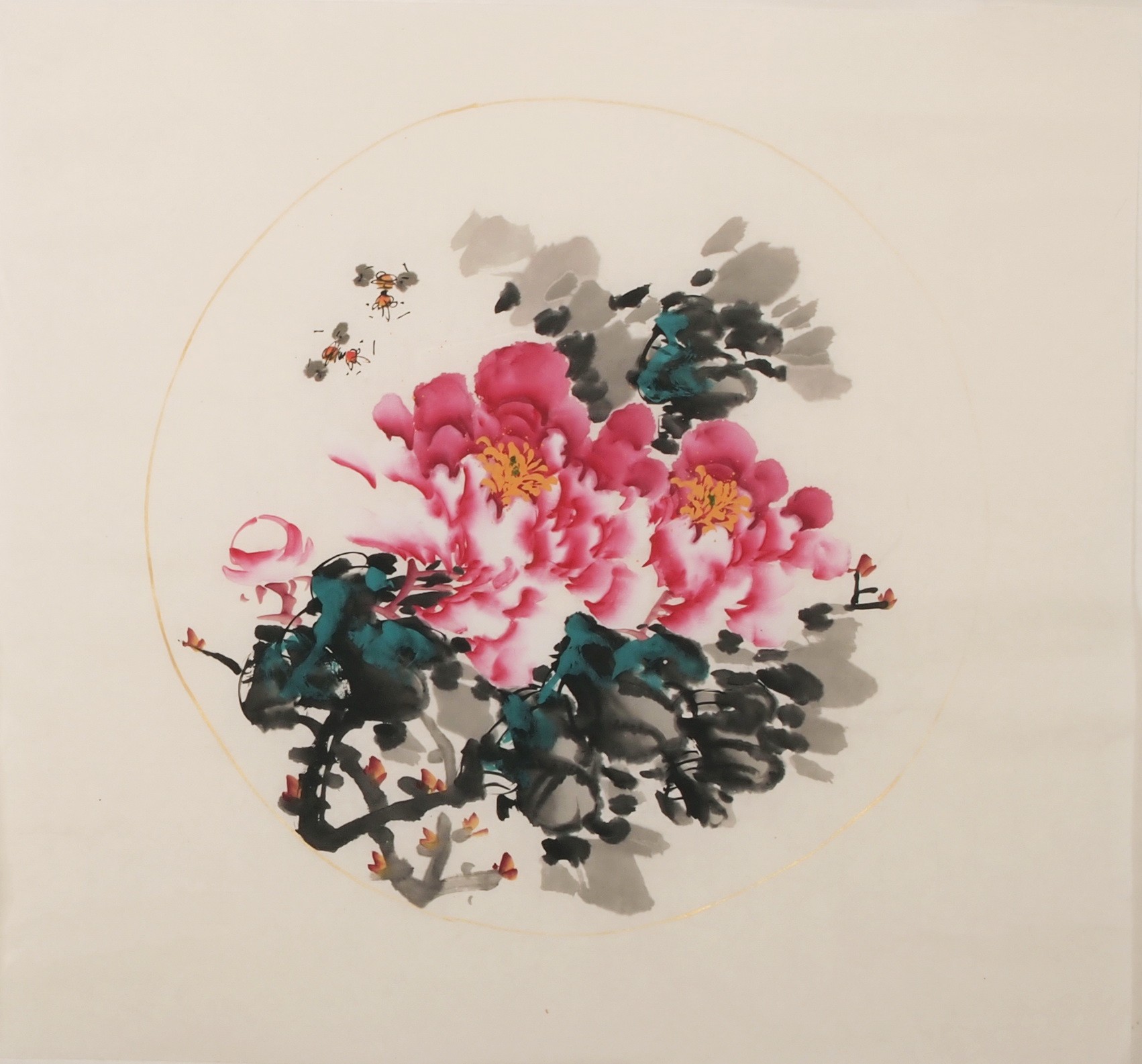Peony - CNAG006350
