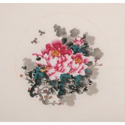 Peony - CNAG006351