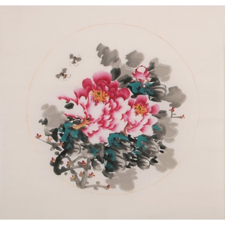 Peony - CNAG006351