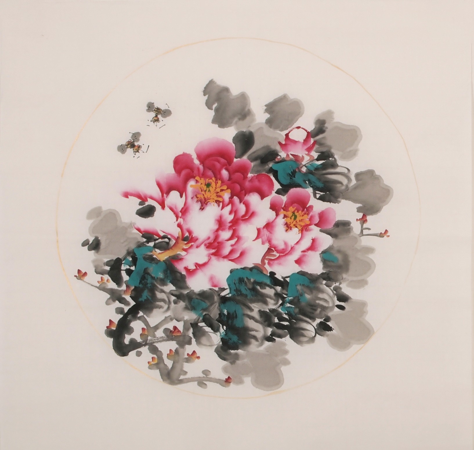 Peony - CNAG006351