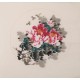 Peony - CNAG006352
