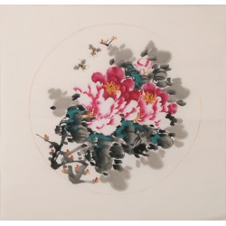 Peony - CNAG006352