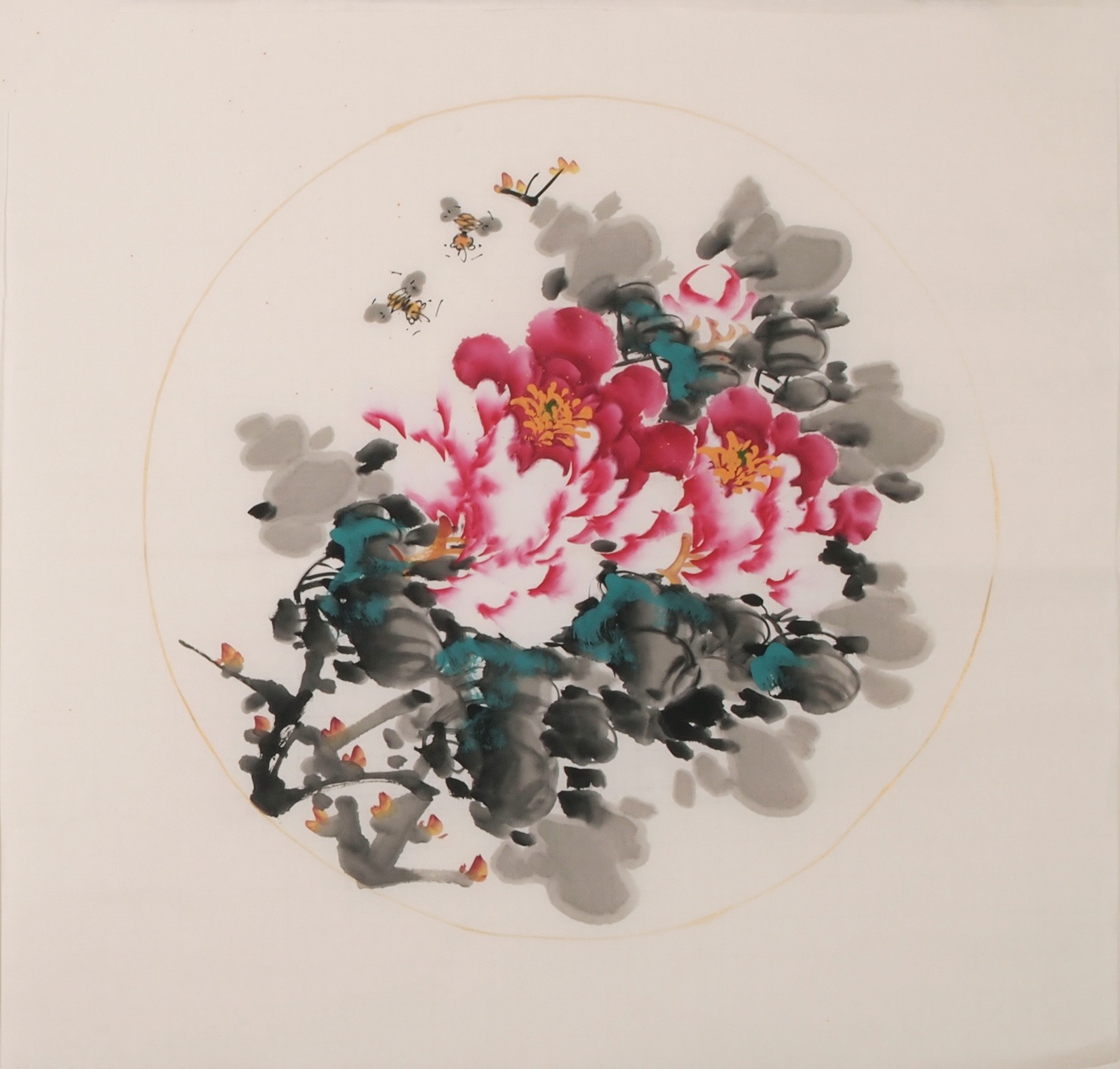 Peony - CNAG006352