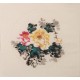 Peony - CNAG006353
