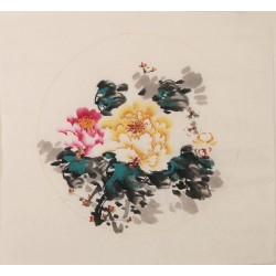 Peony - CNAG006353