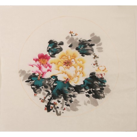Peony - CNAG006353