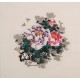 Peony - CNAG006354
