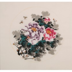 Peony - CNAG006354