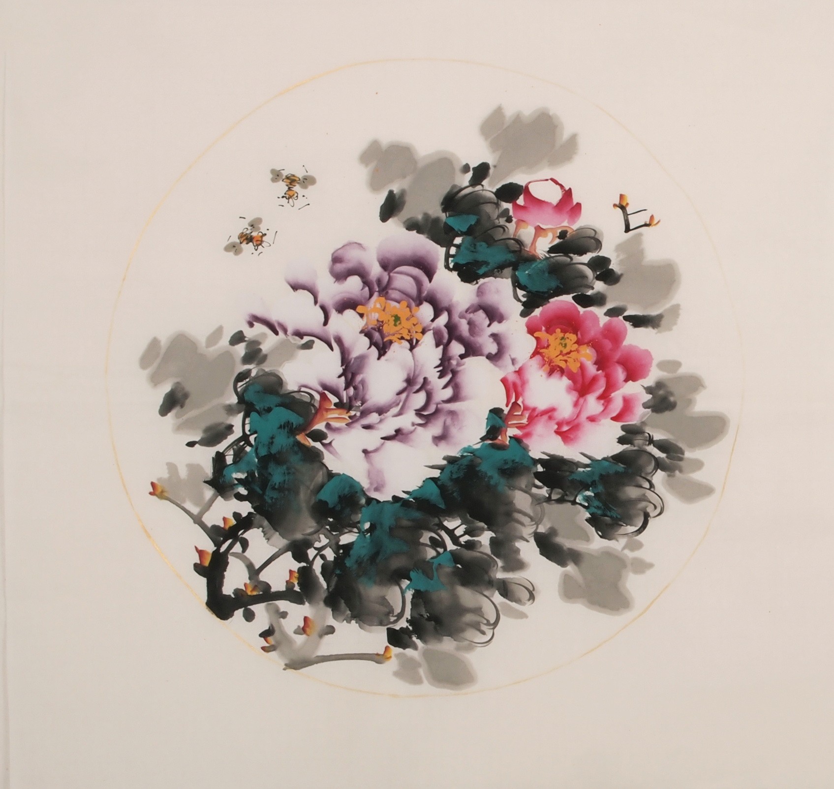 Peony - CNAG006354