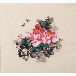 Peony - CNAG006355