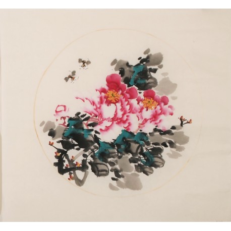 Peony - CNAG006355