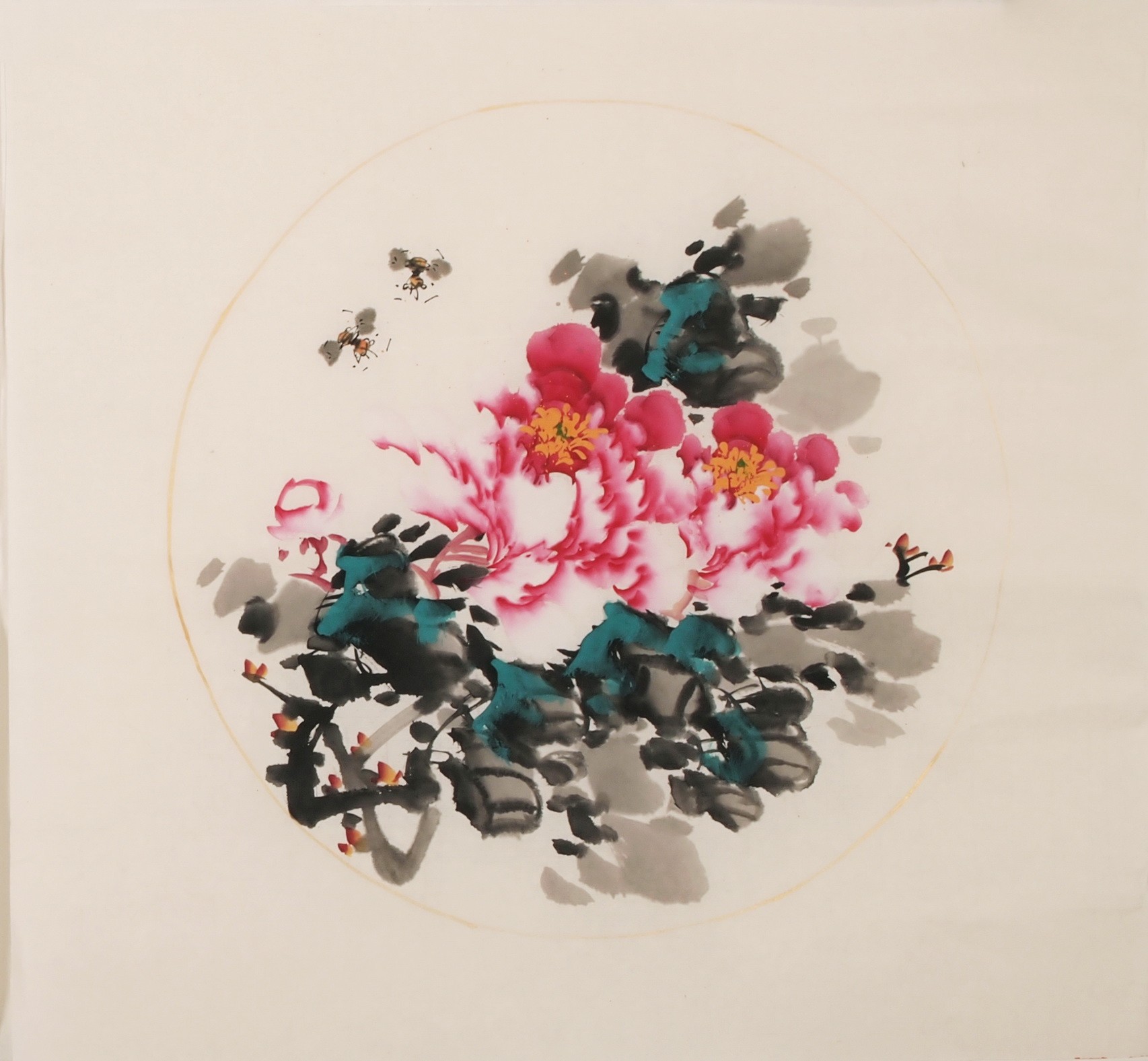 Peony - CNAG006355
