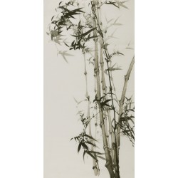 Ink Bamboo - CNAG000636